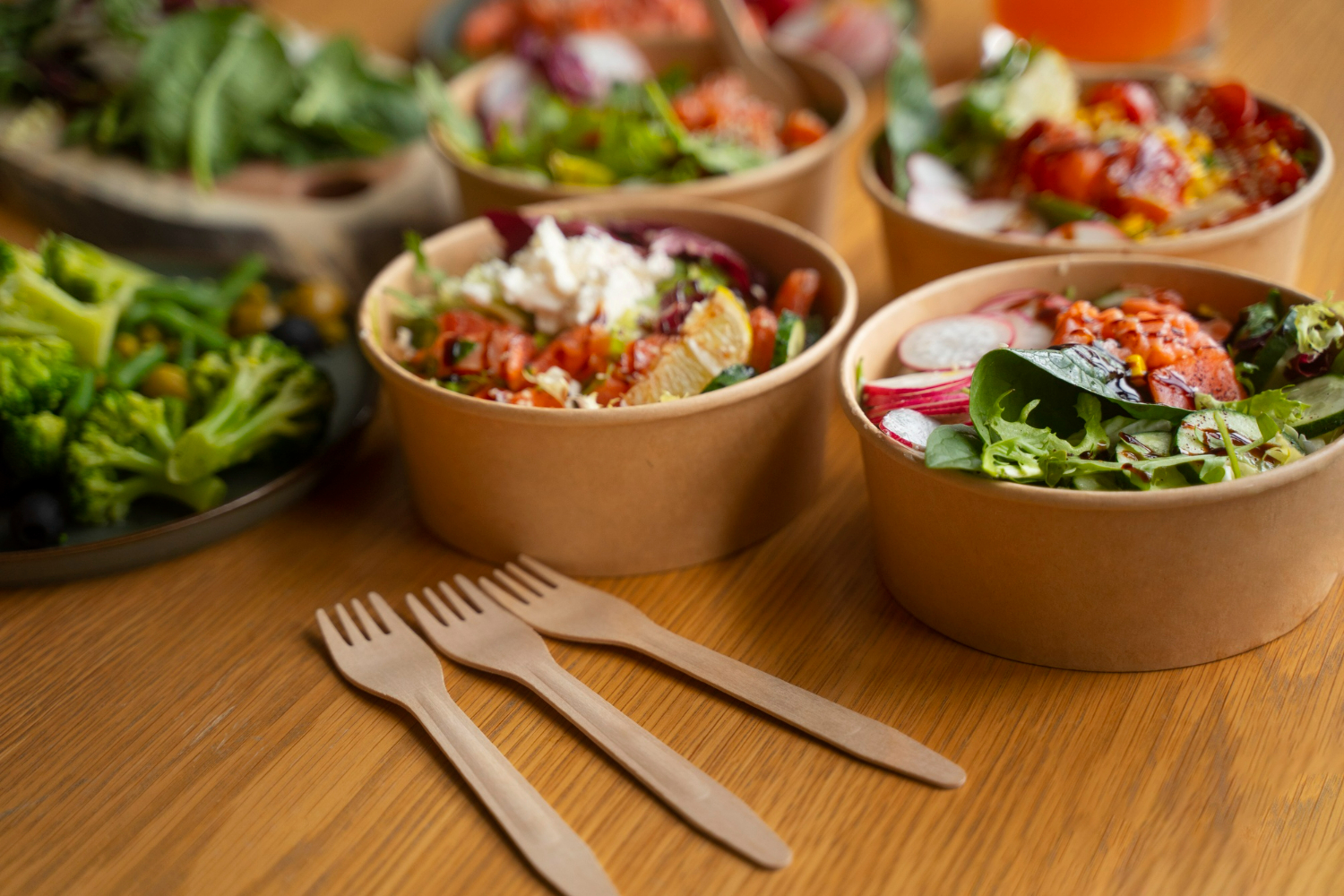 salad in recyclable eco-friendly paper lunch box
