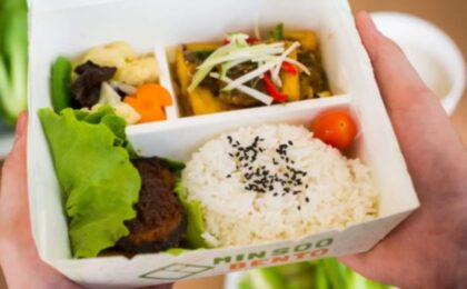 Minstoo paper lunch box showcase