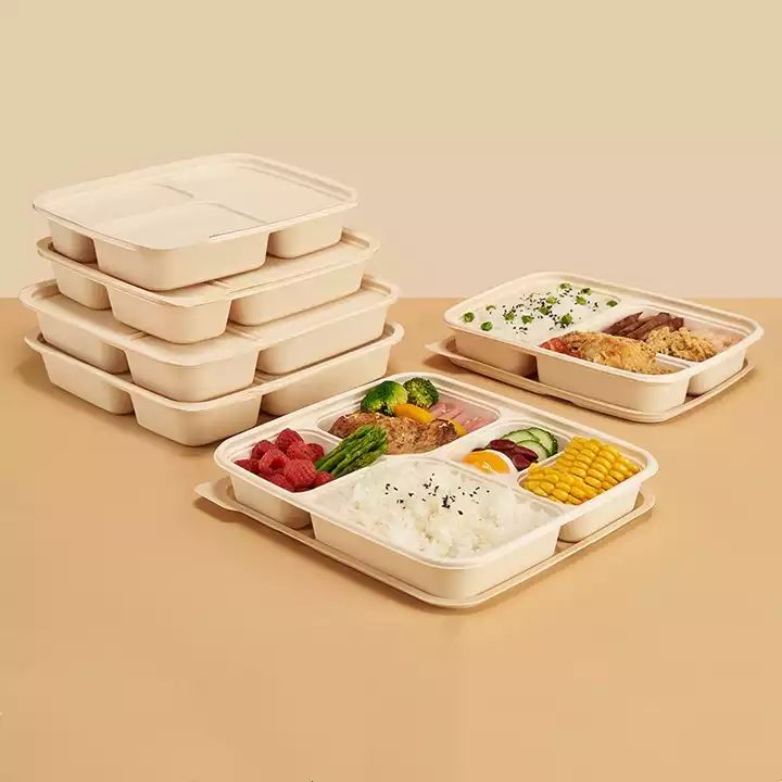 eco-friendly-paper-luch-box-design